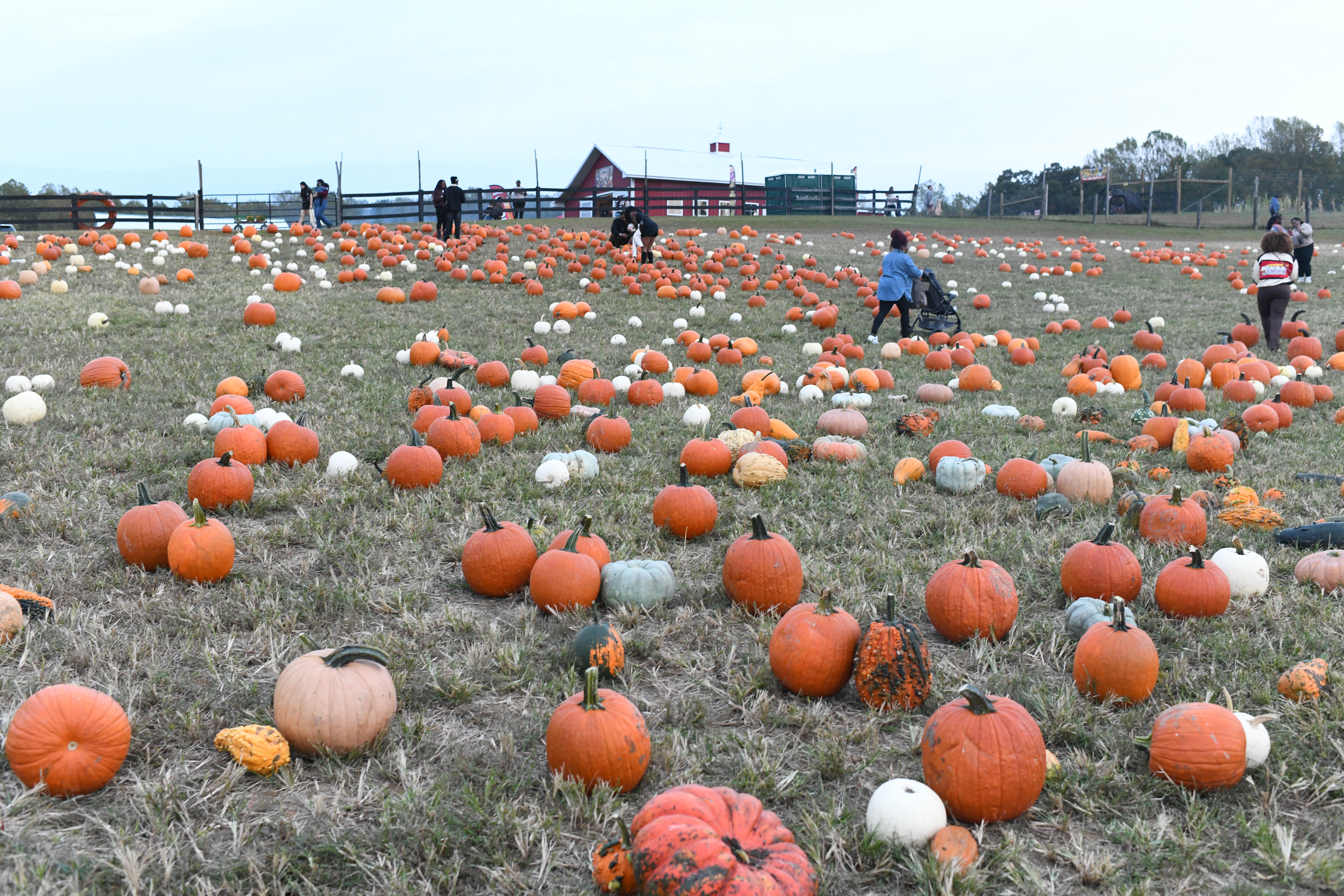 The 2026 Fall Guide to Prince George’s County