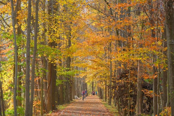 The PG PROUD Fall Guide